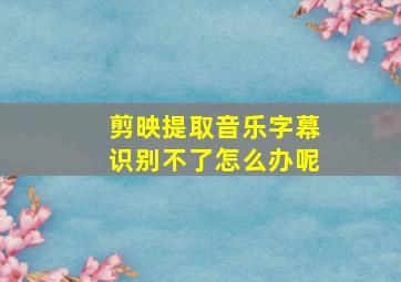 剪映提取音乐字幕识别不了怎么办呢