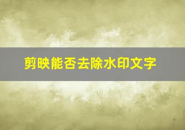 剪映能否去除水印文字