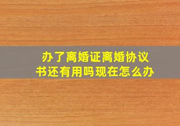 办了离婚证离婚协议书还有用吗现在怎么办