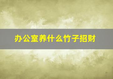 办公室养什么竹子招财