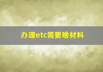 办理etc需要啥材料