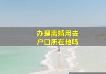 办理离婚用去户口所在地吗