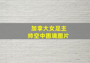 加拿大女足主帅空中困境图片