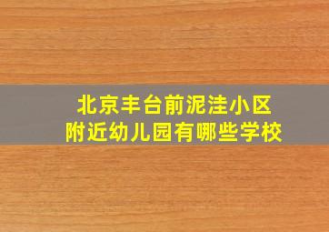 北京丰台前泥洼小区附近幼儿园有哪些学校