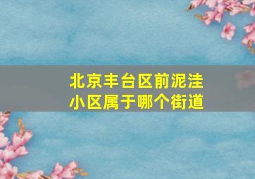 北京丰台区前泥洼小区属于哪个街道