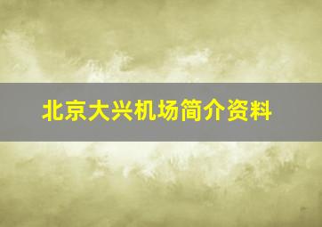 北京大兴机场简介资料