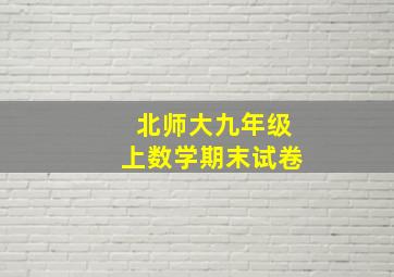 北师大九年级上数学期末试卷