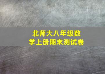 北师大八年级数学上册期末测试卷