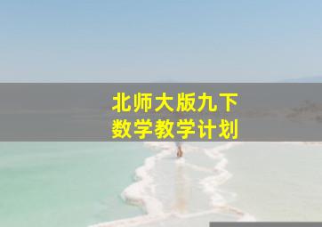 北师大版九下数学教学计划