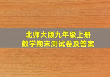 北师大版九年级上册数学期末测试卷及答案