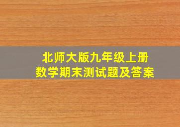 北师大版九年级上册数学期末测试题及答案