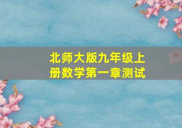 北师大版九年级上册数学第一章测试