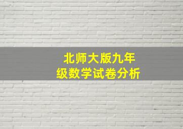 北师大版九年级数学试卷分析