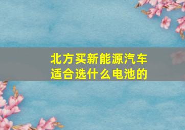 北方买新能源汽车适合选什么电池的