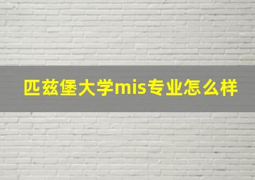 匹兹堡大学mis专业怎么样