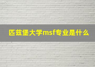 匹兹堡大学msf专业是什么