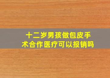 十二岁男孩做包皮手术合作医疗可以报销吗