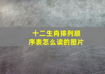 十二生肖排列顺序表怎么读的图片