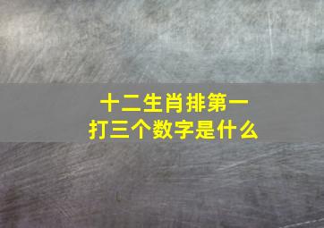 十二生肖排第一打三个数字是什么