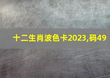 十二生肖波色卡2023,码49