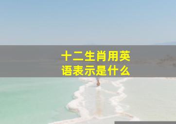 十二生肖用英语表示是什么