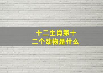 十二生肖第十二个动物是什么