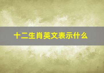 十二生肖英文表示什么