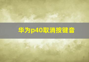 华为p40取消按键音