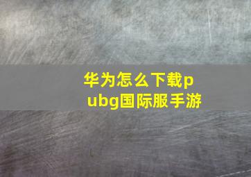 华为怎么下载pubg国际服手游