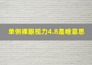 单侧裸眼视力4.8是啥意思