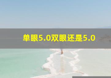 单眼5.0双眼还是5.0