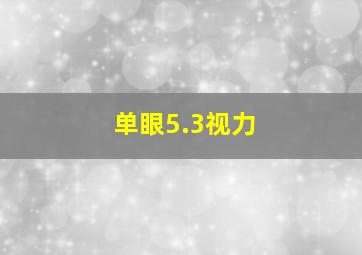 单眼5.3视力