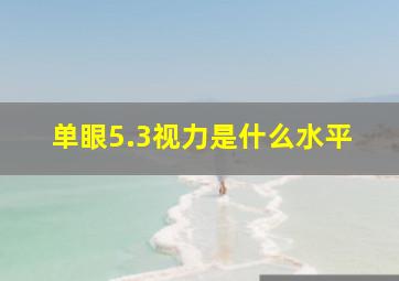 单眼5.3视力是什么水平