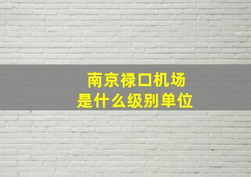 南京禄口机场是什么级别单位