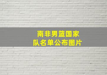 南非男篮国家队名单公布图片