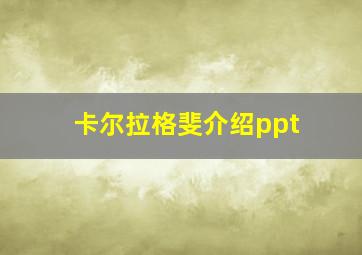 卡尔拉格斐介绍ppt