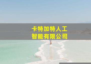 卡特加特人工智能有限公司