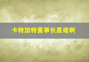 卡特加特董事长是谁啊