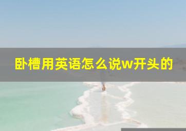 卧槽用英语怎么说w开头的