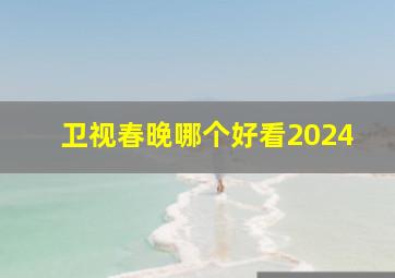 卫视春晚哪个好看2024