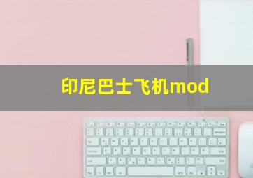 印尼巴士飞机mod