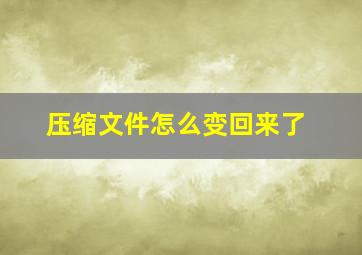 压缩文件怎么变回来了