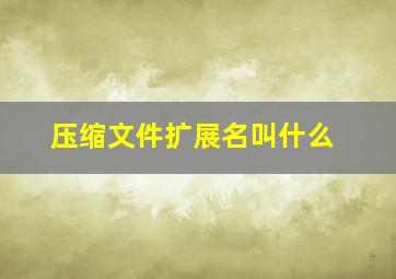 压缩文件扩展名叫什么