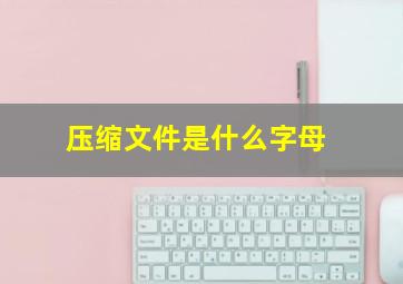 压缩文件是什么字母