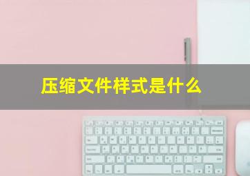 压缩文件样式是什么