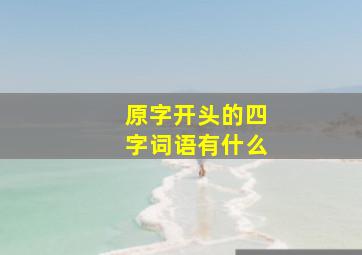 原字开头的四字词语有什么