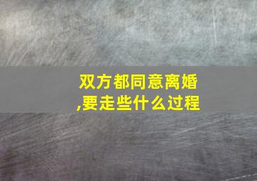 双方都同意离婚,要走些什么过程