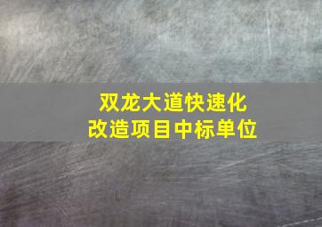 双龙大道快速化改造项目中标单位