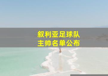 叙利亚足球队主帅名单公布