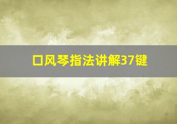 口风琴指法讲解37键